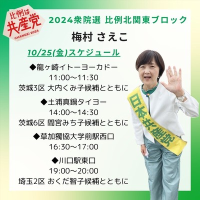 10月25日 梅村さえこ比例候補が訴えます