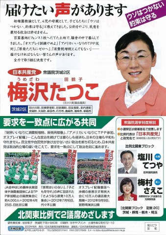 茨城2区 梅沢田鶴子