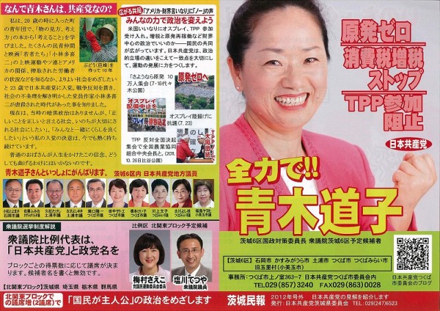 茨城6区 青木道子