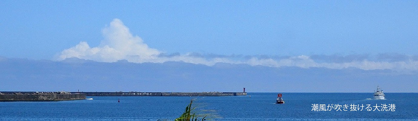 日本共産党 茨城県委員会