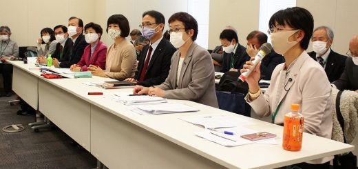 省庁交渉に臨む参加者ら